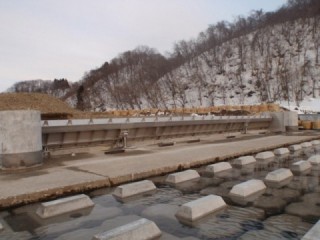 屋根工事